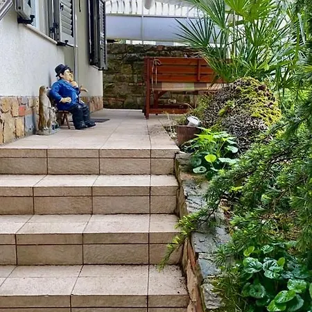 Papillon- Free Parking Capodistria