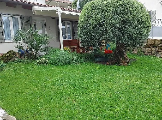 Papillon- Free Parking *